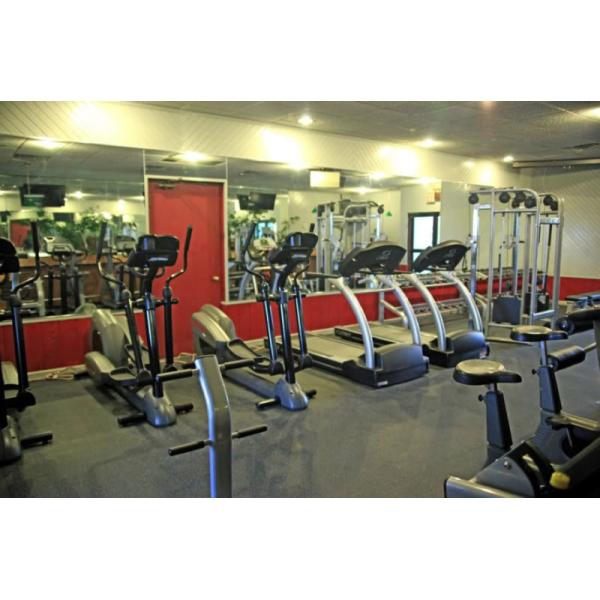 A gym with a wide selection of new and remanufactured tread machines and mirrors.