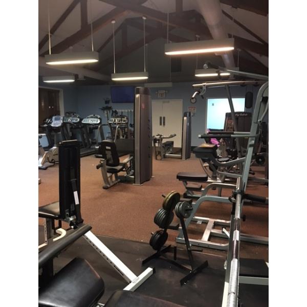 A gym with a wide variety of new and remanufactured machines and weights.