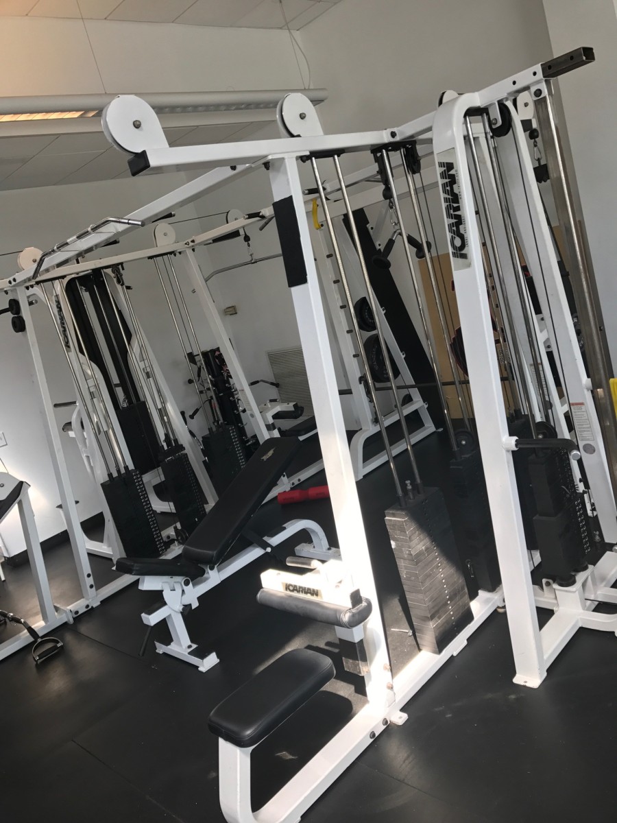 Icarian gym equipment online for sale