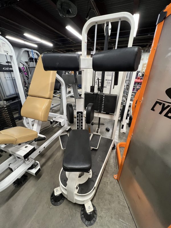 Cybex VR2 Torso Rotation - Serviced