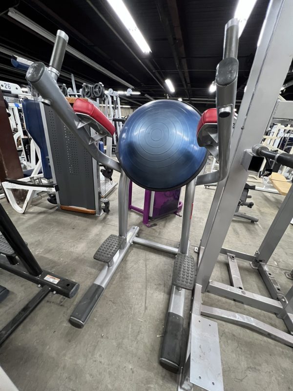 Life Fitness Knee Raise with Bosu Ball - Serviced